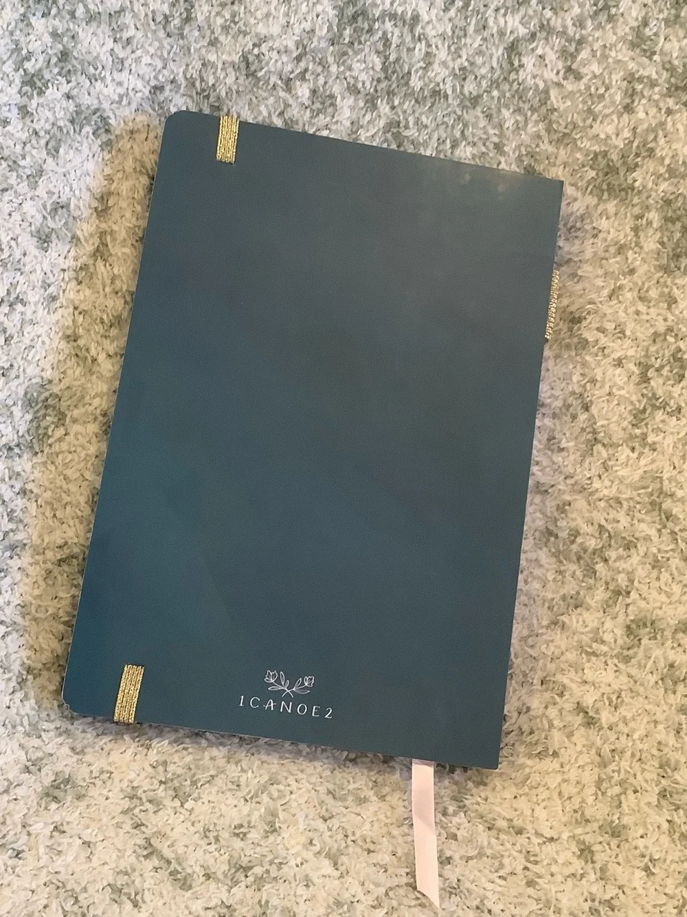 Strawberry Hummingbird Nature Travel Creative Journal Notebook NWT 160 lined pgs